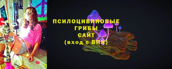 соль ск Алзамай