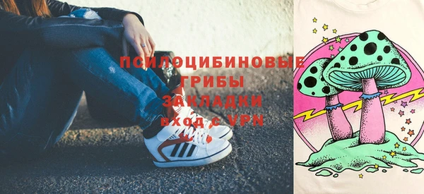 соль ск Алзамай