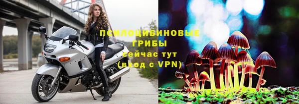 соль ск Алзамай